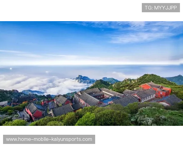 山东泰山的节奏掌控极为成熟,攻守转换干净利落 山东泰山的节奏掌控极为成熟,攻守转换干净利落